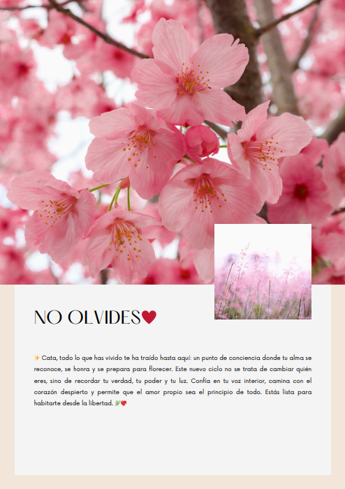 Carta 3